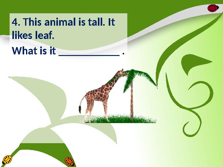 4. This animal is tall. It likes leaf. What is it ___________ .
