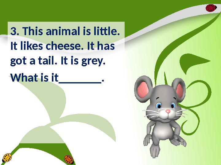 3. This animal is little. It likes cheese. It has got a tail. It is grey. What is it_______.