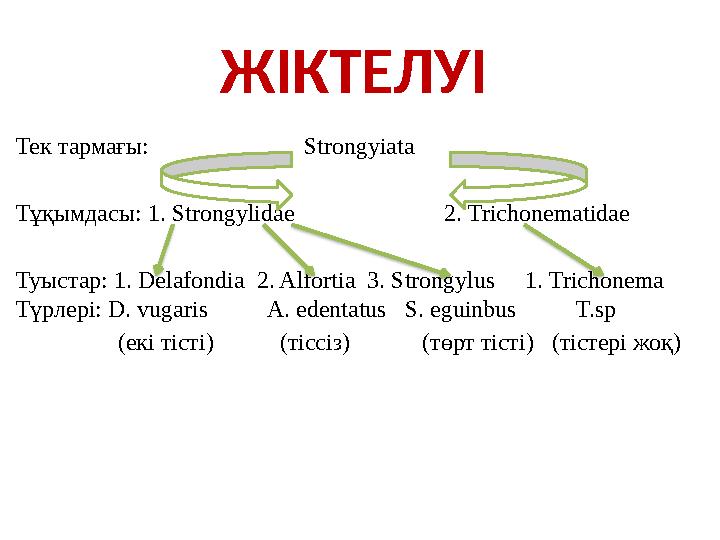 ЖІКТЕЛУІ Тек тармағы: Strongyiata Тұқымдасы: 1. Strongylidae 2. Trichonematidae Туыстар: 1. Delafon