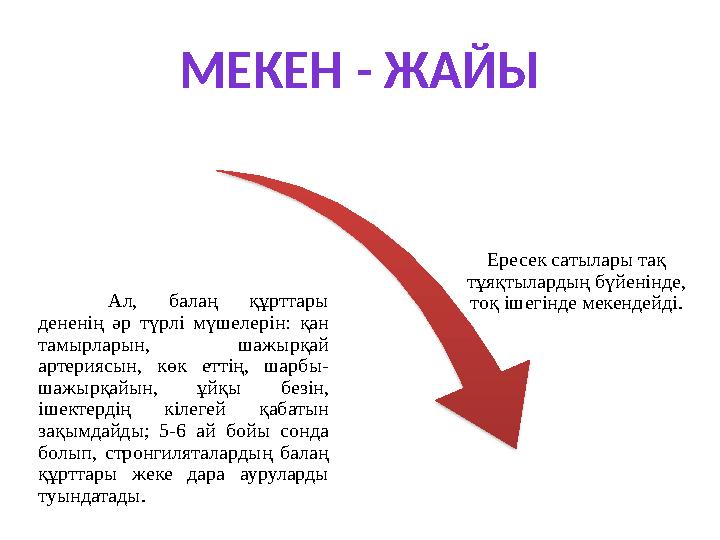 МЕКЕН - ЖАЙЫ Ал, балаң құрттары дененің әр түрлі мүшелерін: қан тамырларын, шажырқай артериясын, көк еттің, шарбы-