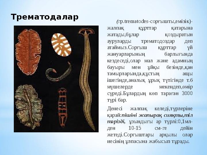 Трематодалар ( гр. trematodes- сорғышты,емізік)- жалпақ құрттар қатарына жатады,бұлар қоздыратын ауруларды трематодоздар