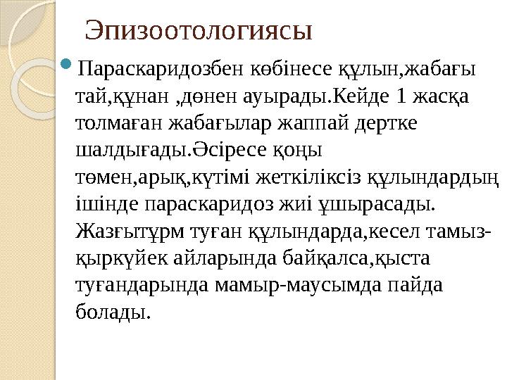 Эпизоотологиясы  Параскаридозбен көбінесе құлын,жабағы тай,құнан ,дөнен ауырады.Кейде 1 жасқа толмаған жабағылар жаппай дерт