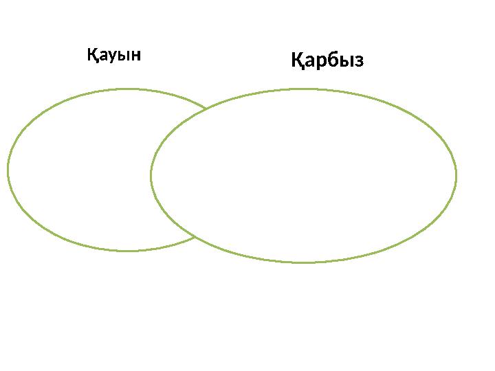 Қауын Қарбыз