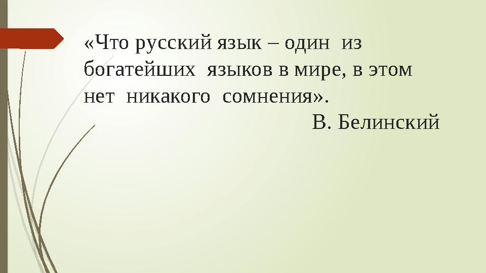 «Что русский язык – один из богатейших языков в мире, в этом нет никакого сомнения».