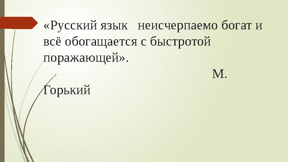 «Русский язык неисчерпаемо богат и всё обогащается с быстротой поражающей».