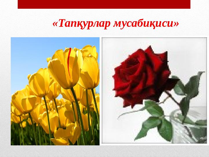 img_page_1