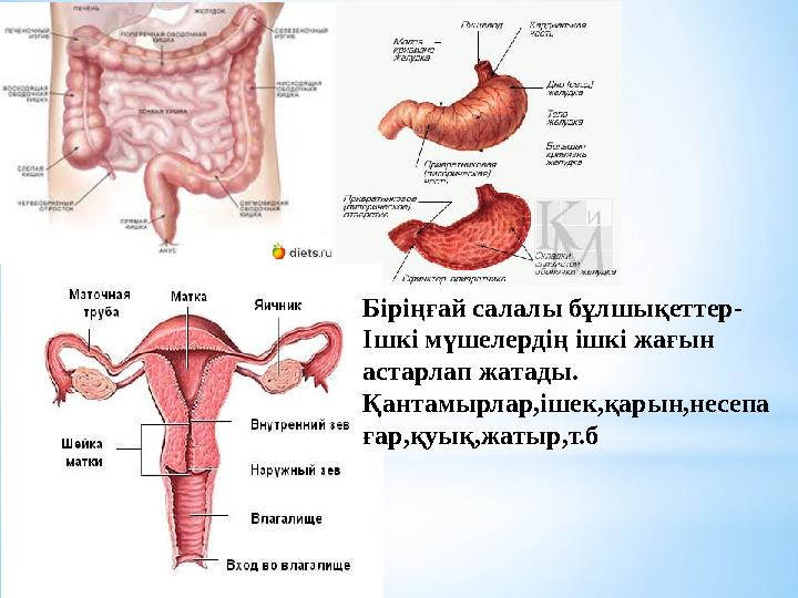 Жас жігіттермен қатыгез порно