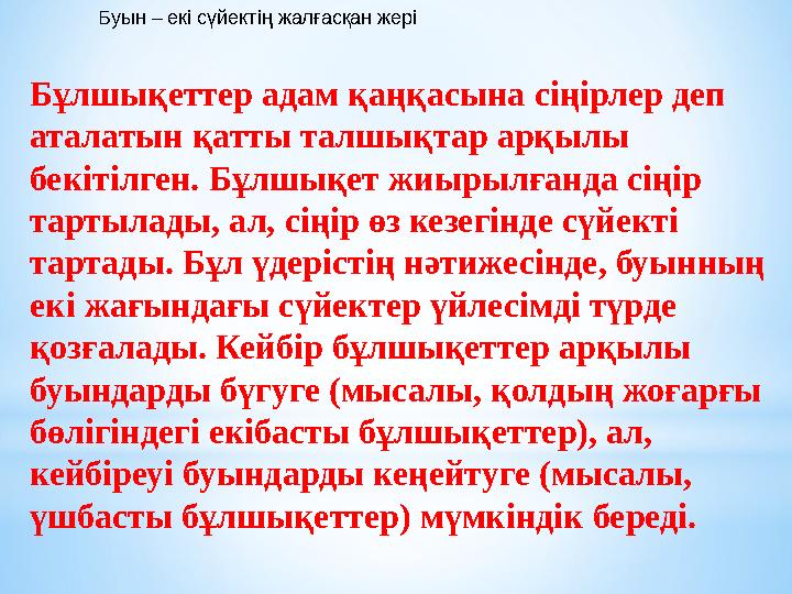 Буын – екі сүйектің жалғасқан жері Бұлшықеттер адам қаңқасына сіңірлер деп аталатын қатты талшықтар арқылы бекітілген. Бұлшық
