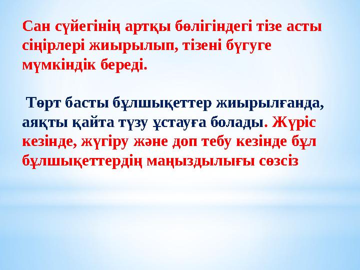 Сан сүйегінің артқы бөлігіндегі тізе асты сіңірлері жиырылып, тізені бүгуге мүмкіндік береді. Төрт басты бұлшықеттер жиырылғ