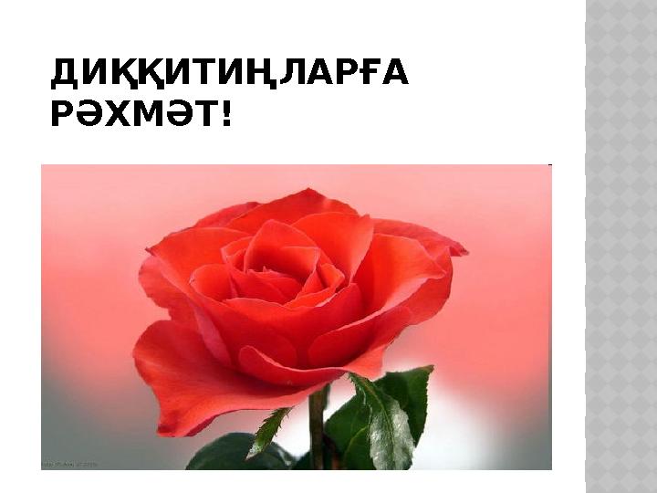 ДИ ҚҚИТИҢЛАРҒА РӘХМӘТ!
