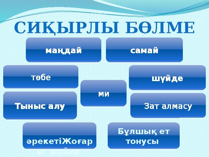 СИҚЫРЛЫ БӨЛМЕ маңдай самай төбе шүйде Тыныс алу Бұлшық ет тонусы әрекетіЖоғар ы жүйке Зат алмасуми