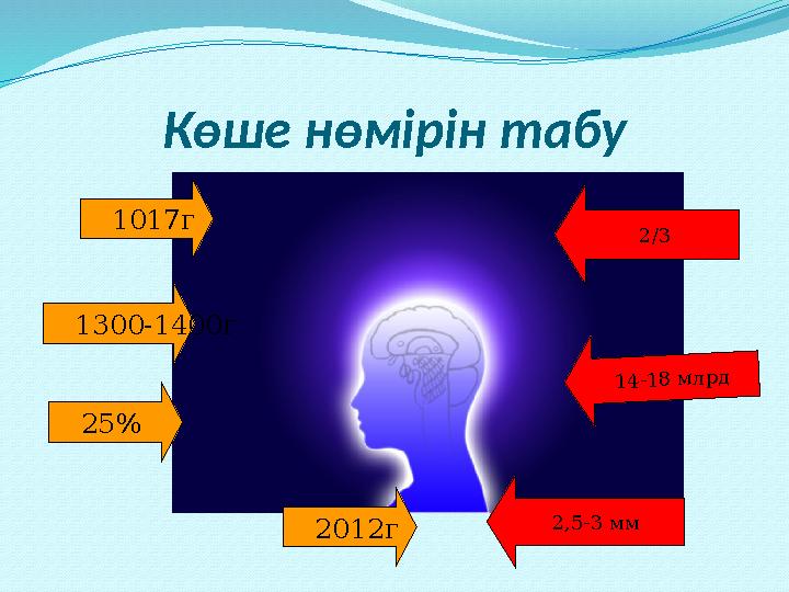 Көше нөмірін табу 1300-1400г 25% 1 4 -1 8 м л р д 2/3 2,5-3 мм1017г 2012г