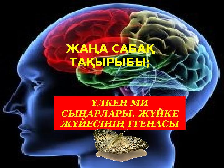 ЖАҢА САБАҚ ТАҚЫРЫБЫ; ҮЛКЕН МИ СЫҢАРЛАРЫ. ЖҮЙКЕ ЖҮЙЕСІНІҢ ГГЕНАСЫ