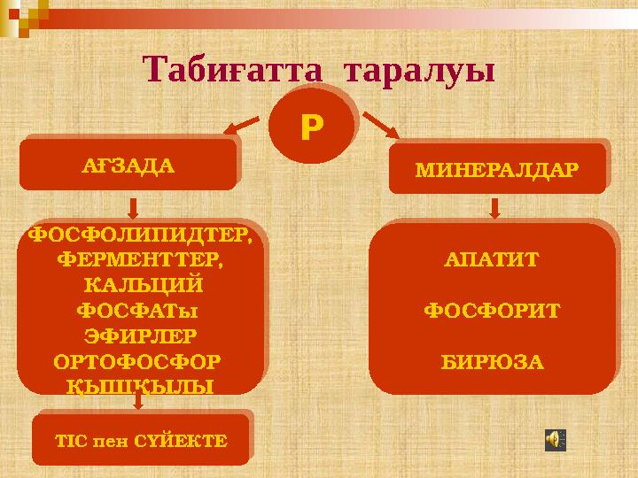 Р АҒЗАДА МИНЕРАЛДАР ФОСФОЛИПИДТЕР, ФЕРМЕНТТЕР, КАЛЬЦИЙ ФОСФАТы ЭФИРЛЕР ОРТОФОСФОР ҚЫШҚЫЛЫ ТІС пен СҮЙЕКТЕ АПАТИТ ФОСФОРИТ