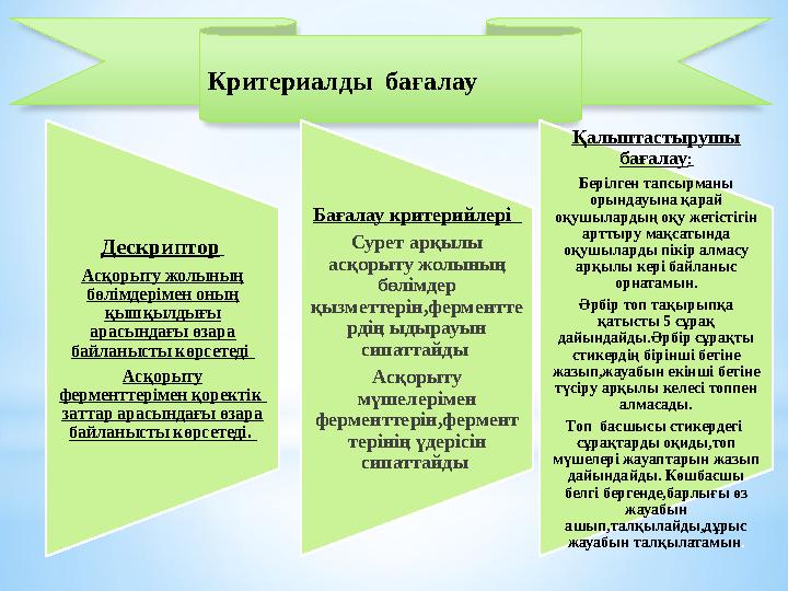 Критериалды бағалау Дескриптор Асқорыту жолының бөлімдерімен оның қышқылдығы арасындағы өзара байланысты көрсетеді Асқор