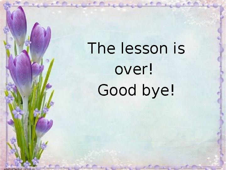 The lesson is over! Good bye!