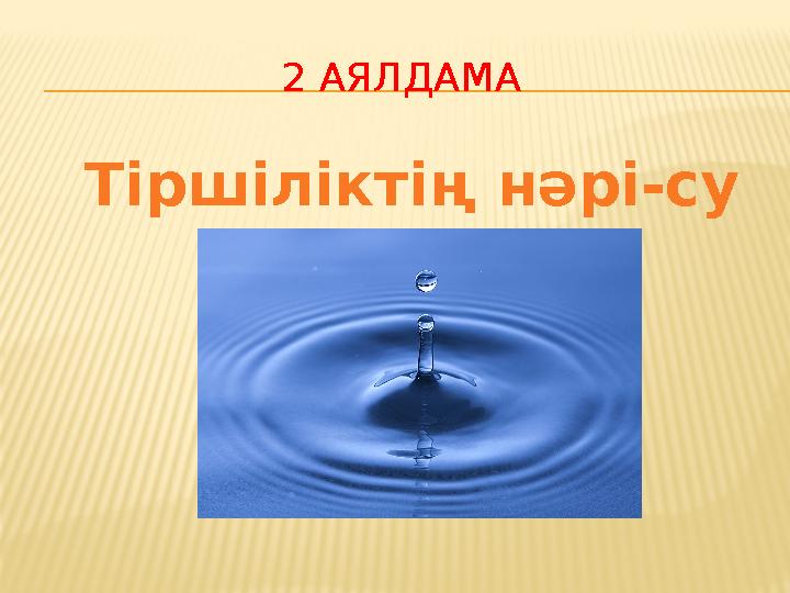 2 АЯЛДАМА Тіршіліктің нәрі-су