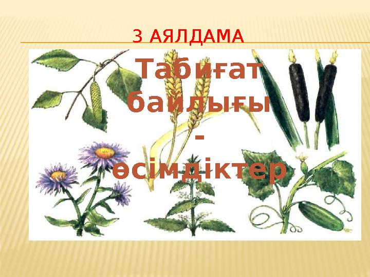 3 АЯЛДАМА Табиғат байлығы - өсімдіктер