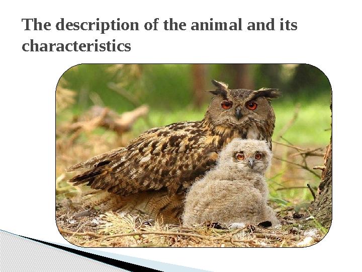 The description of the animal and its characteristics