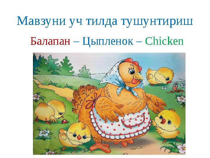 Мавзуни уч тилда тушунтириш Балапан – Цыпленок – Chicken