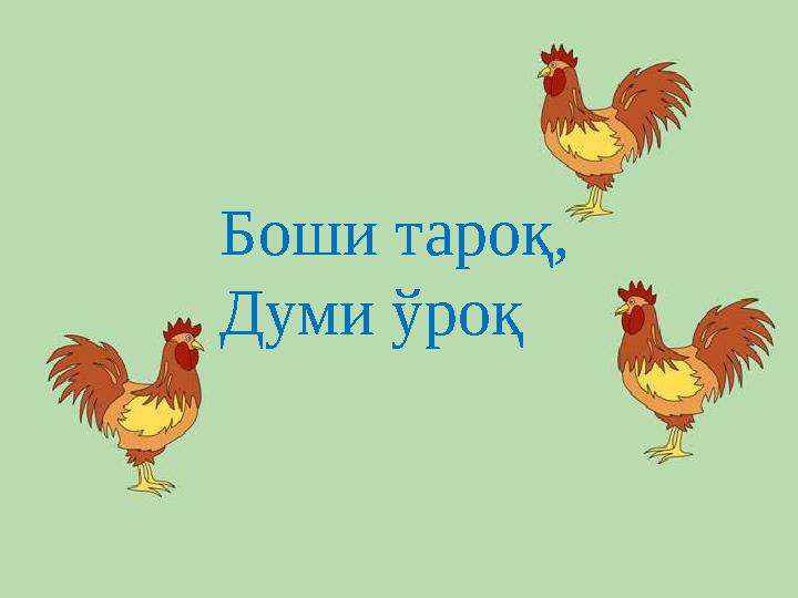 Боши таро қ, Думи ўроқ