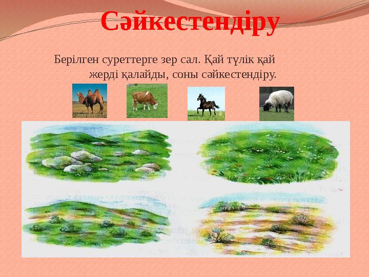 Сәйкестендіру Берілген суреттерге зер сал. Қай түлік қай жерді қалайды, соны сәйкестендіру.