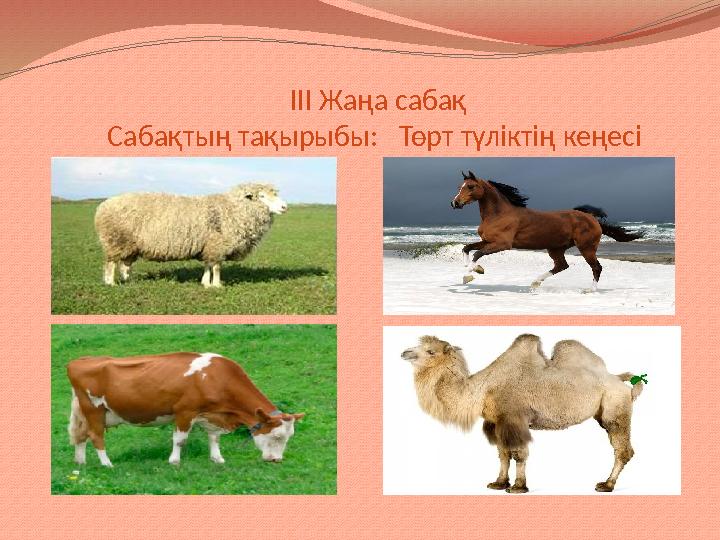 ІІІ Жаңа сабақ Сабақтың тақырыбы: Төрт түліктің кеңесі