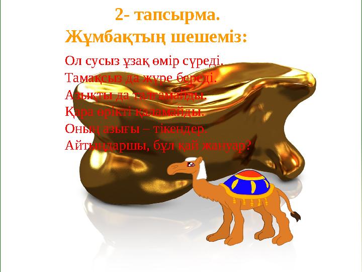 2- тапсырма. Жұмбақтың шешеміз: Ол сусыз ұзақ өмір сүреді. Тамақсыз да жүре береді. Азықты да талғамайды. Қара өрікт