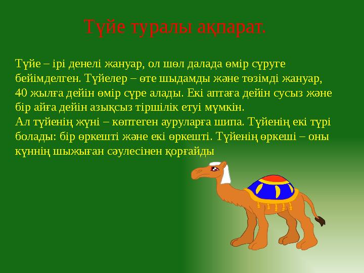 Түйе туралы ақпарат. Түйе – ірі денелі жануар, ол шөл далада өмір сүруге бейімделген. Түйелер – өте шыдамды және төзімді жануар,