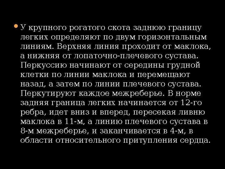  У крупного рогатого скота заднюю границу легких определяют по двум горизонтальным линиям. Верхняя линия проходит от маклока,
