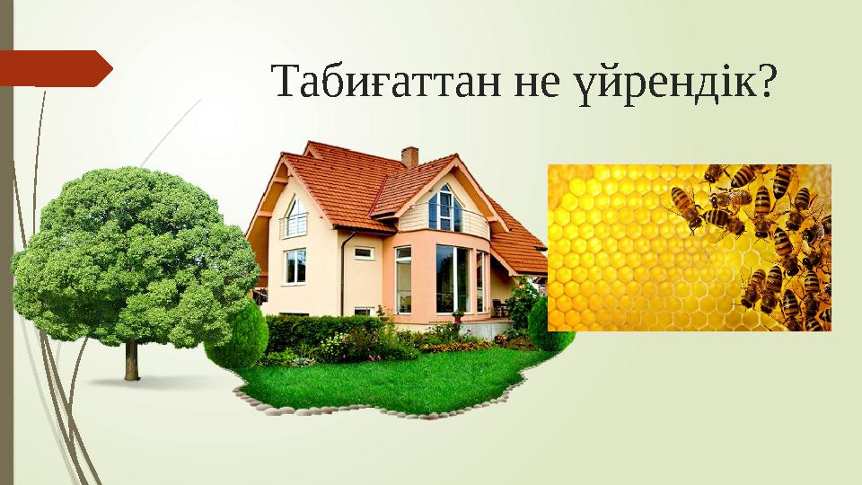 Табиғаттан не үйрендік?