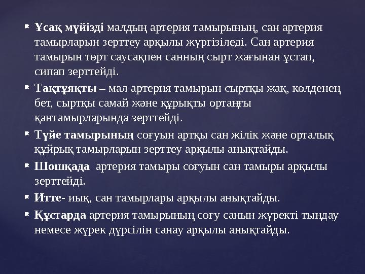  Ұсақ мүйізді малдың артерия тамырын ың , сан артерия тамырларын зерттеу арқылы жүргізіледі. Сан артерия тамырын төрт сауса