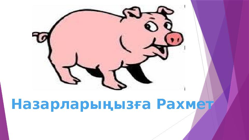 Назарларыңызға Рахмет
