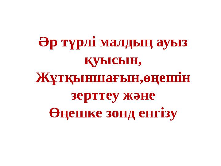 Регина Мун порно