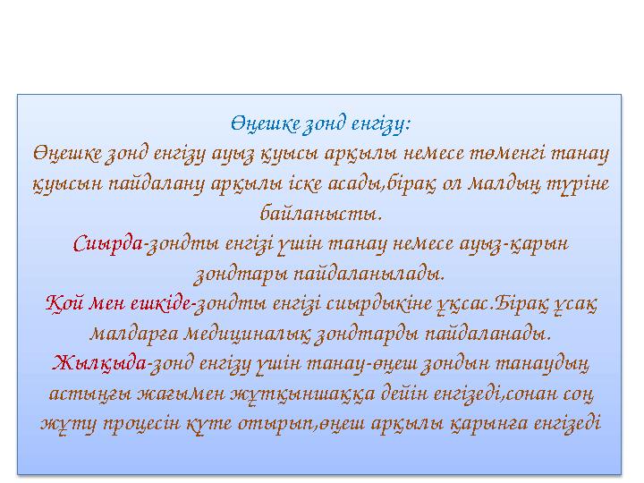 Өңешке зонд енгізу: Өңешке зонд енгізу ауыз қуысы арқылы немесе төменгі танау қуысын пайдалану арқылы іске асады,бірақ ол малды