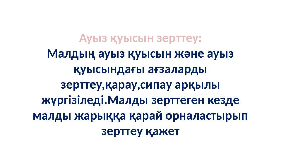 Ауыз қуысын зер т теу: Малдың ауыз қуысын және ауыз қуысындағы ағзаларды зерттеу,қарау,сипау арқылы жүргізіледі.Малды зерттег