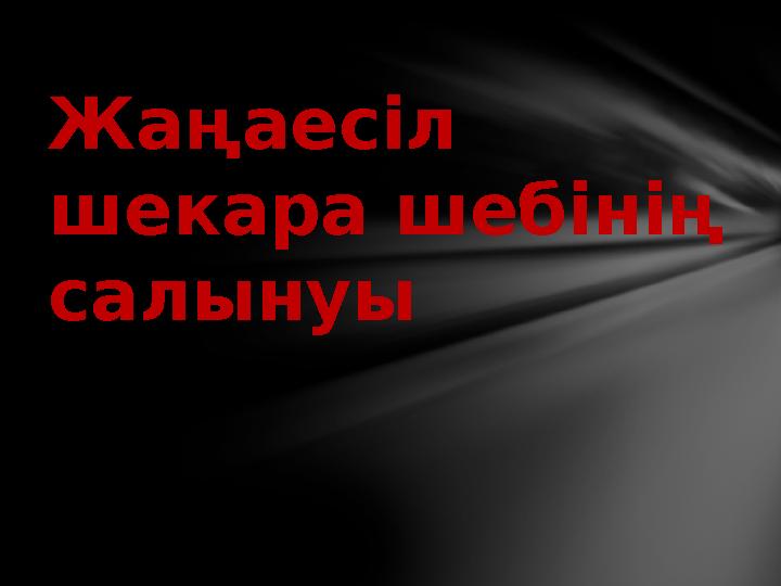 Жаңаесіл шекара шебінің салынуы