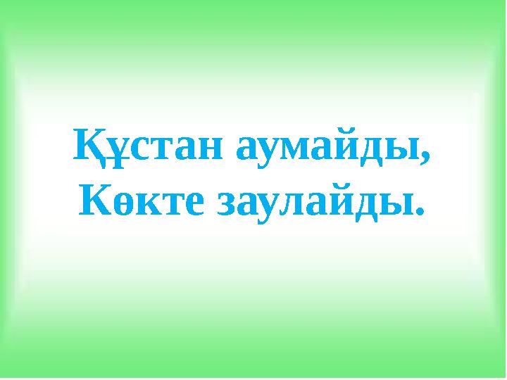 Құстан аумайды, Көкте заулайды.