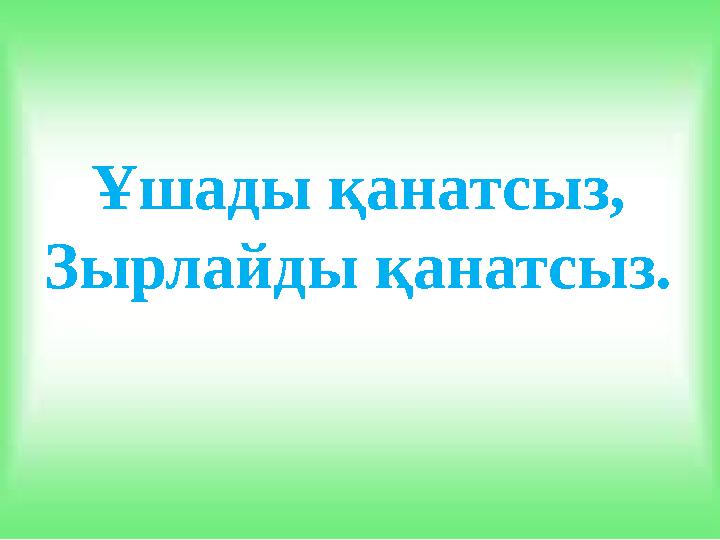 Ұшады қанатсыз, Зырлайды қанатсыз.
