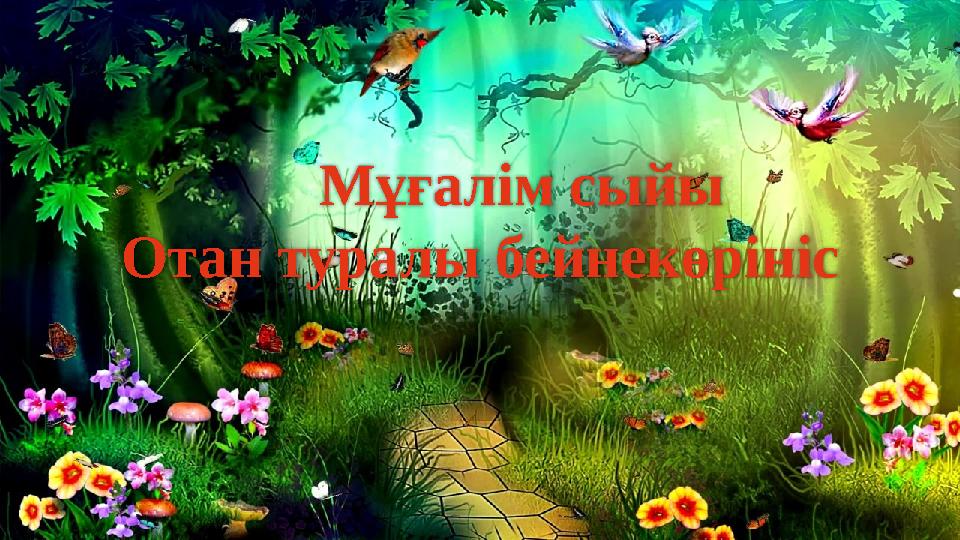 Мұғалім сыйы Отан туралы бейнекөрініс