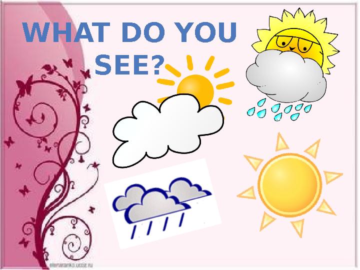 WHAT DO YOU SEE?