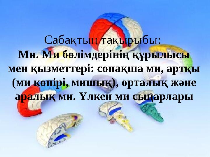 img_page_1