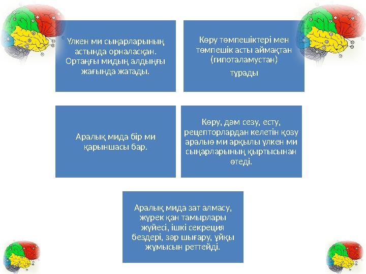 Үлкен ми сыңарларының астында орналасқан. Ортаңғы мидың алдыңғы жағында жатады. Көру төмпешіктері мен төмпешік асты аймақтан