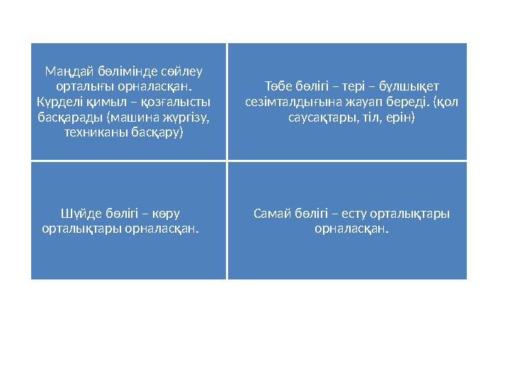 Маңдай бөлімінде сөйлеу орталығы орналасқан. Күрделі қимыл – қозғалысты басқарады (машина жүргізу, техниканы басқару) Төбе б