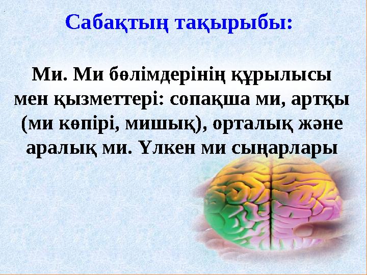 . Сабақтың тақырыбы: Ми. Ми бөлімдерінің құрылысы мен қызметтері: сопақша ми, артқы (ми көпірі, мишық), орталық және аралық
