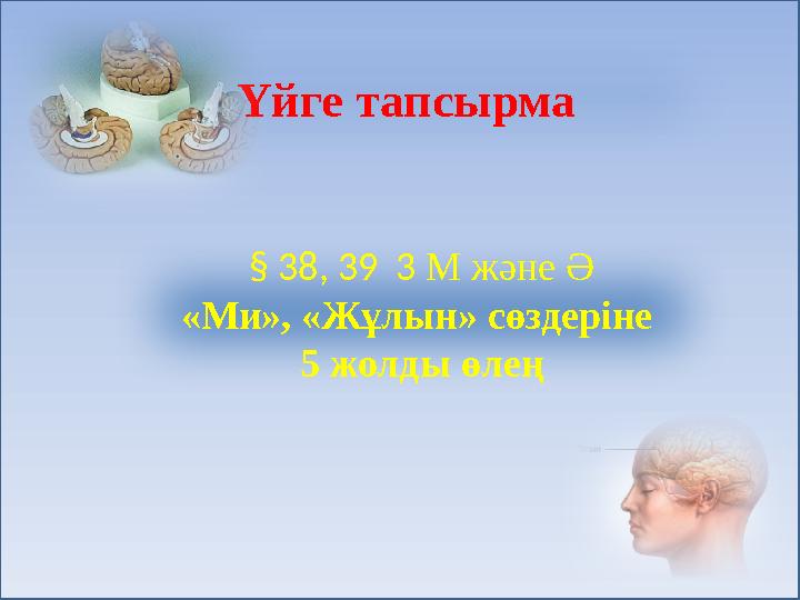 Үйге тапсырма § 38, 39 3 М және Ә «Ми», «Жұлын» сөздеріне 5 жолды өлең