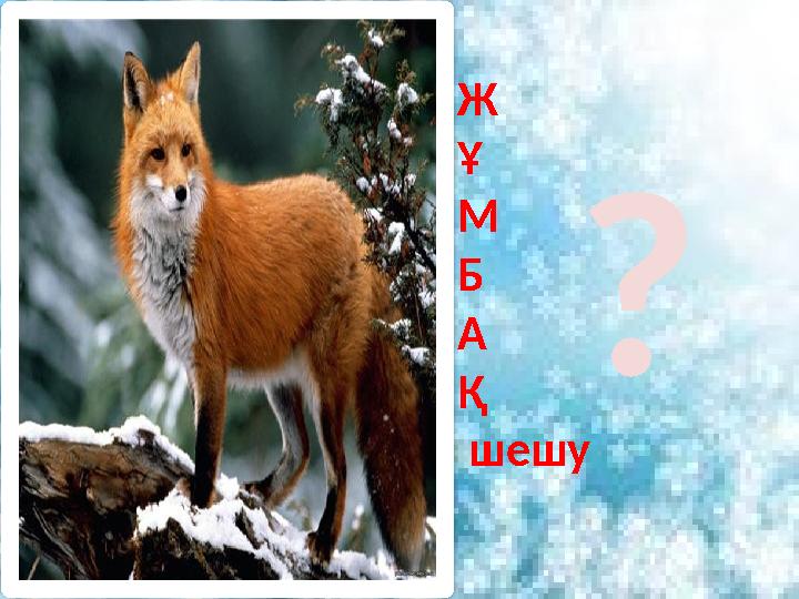 Ж Ұ М Б А Қ шешу ?