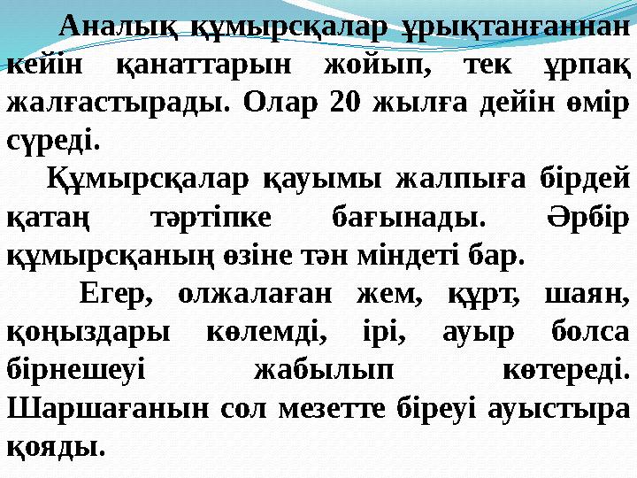 Аналық құмырсқалар ұрықтанғаннан кейін қанаттарын жойып, тек ұрпақ жалғастырады. Олар 20 жылға дейін өмір