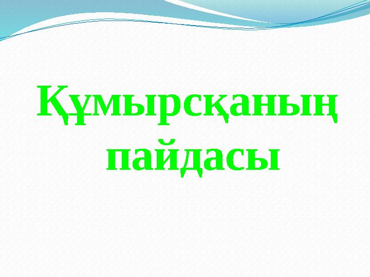 Құмырсқаның пайдасы