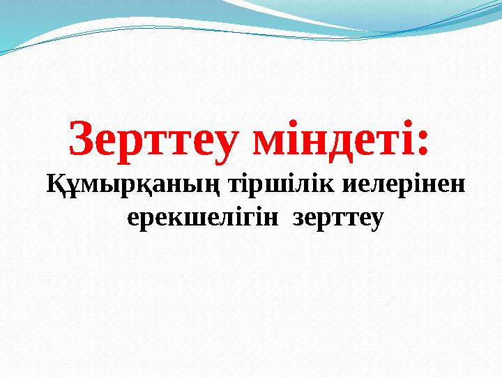 Зерттеу міндеті: Құмырқаның тіршілік иелерінен ерекшелігін зерттеу